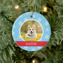 Cão Floco de Neve Azul