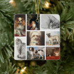 Ornamento De Cerâmica Cão Gato Pets 8 Foto Retrato Collage Keepsasait<br><div class="desc">Uma bela maneira de lembrar seus queridos animais de estimação,  cachorro,  gato com esta coleção de fotos personalizada. Lembre-se daqueles momentos especiais para sempre com este cão fotográfico de 8,  gato,  animal de estimação. Personalize as fotografias e torne-as próprias.</div>