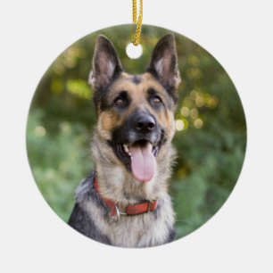 Ornamento De Cerâmica Cão german shepherd