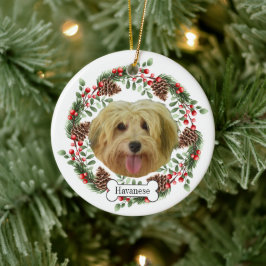 Ornamento De Cerâmica cão paraense Personalizado Pet Ornament