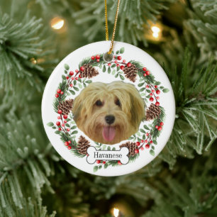 Ornamento De Cerâmica cão paraense Personalizado Pet Ornament