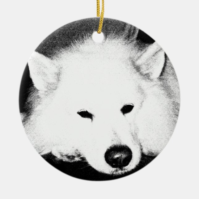 Ornamento De Cerâmica Cão peludo bonito do branco do Samoyed (Frente)