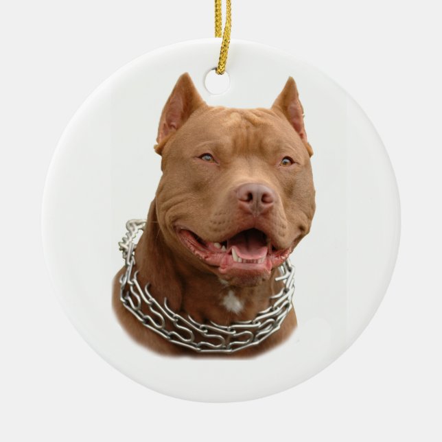 Ornamento De Cerâmica Cão Pitbull (Frente)