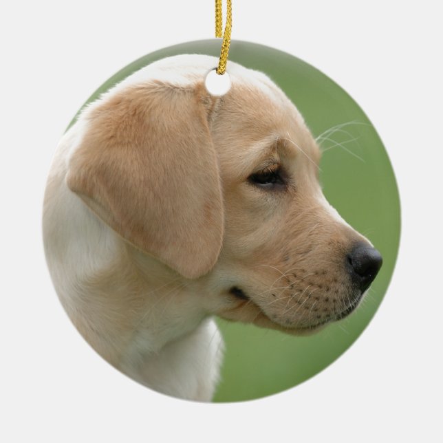 Ornamento De Cerâmica Cãozinho labrador-amarelo (Frente)