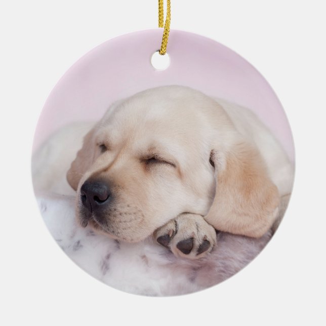 Ornamento De Cerâmica Cãozinho labrador-amarelo (Frente)