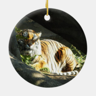 Ornamento De Cerâmica Capa de Tigre