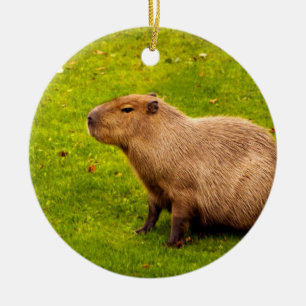 Ornamento De Cerâmica Capivara