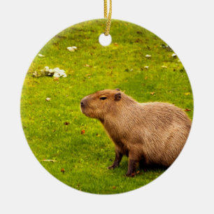 Ornamento De Cerâmica Capivara