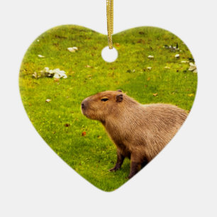 Ornamento De Cerâmica Capivara