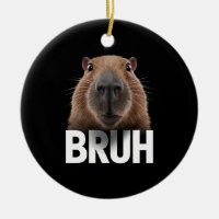 Capivara Engraçada Bruh 