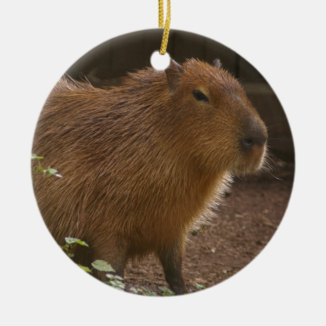 Ornamento De Cerâmica Capybara (Frente)