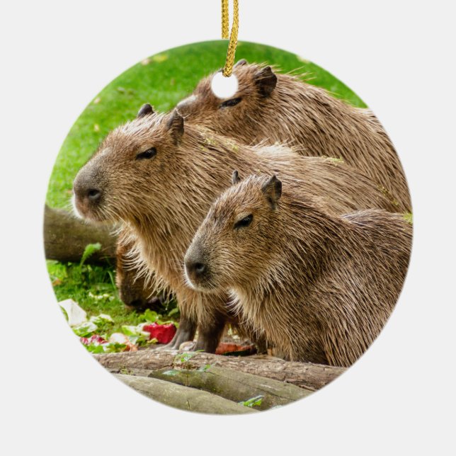 Ornamento De Cerâmica Capybara Trio (Frente)