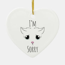 Cara de Gato Triste: Desculpe