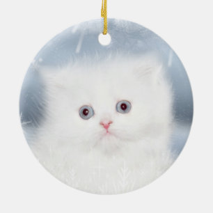 Ornamento De Cerâmica Cara persa branca do gatinho
