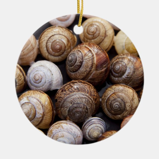 Ornamento De Cerâmica Caracóis (Frente)