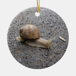 Ornamento De Cerâmica caracol