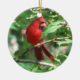Ornamento De Cerâmica Cardeal do Natal