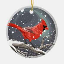 Cardinal de Inverno
