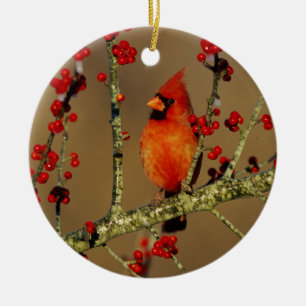 Ornamento De Cerâmica Cardinal-vermelho macho empoleirado, IL