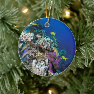 Ornamento De Cerâmica Cardumes de Salmonete em torno de Pequeno Coral