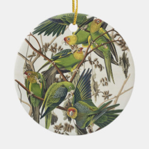 Ornamento De Cerâmica Carolina Parakeet, de 'Birds of America', 1829
