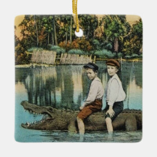 Ornamento De Cerâmica Cartão postal engraçado Ride'um Gator
