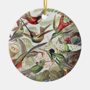 Ornamento De Cerâmica Cartaz Colorido Vintage de Beija-flor de Ernst Hae