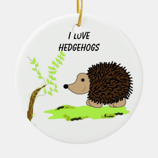 Ornamento De Cerâmica Cartoon Hedgehog (Frente)