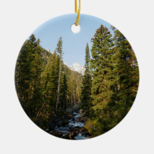 Ornamento De Cerâmica Cascade Creek no Grand Teton