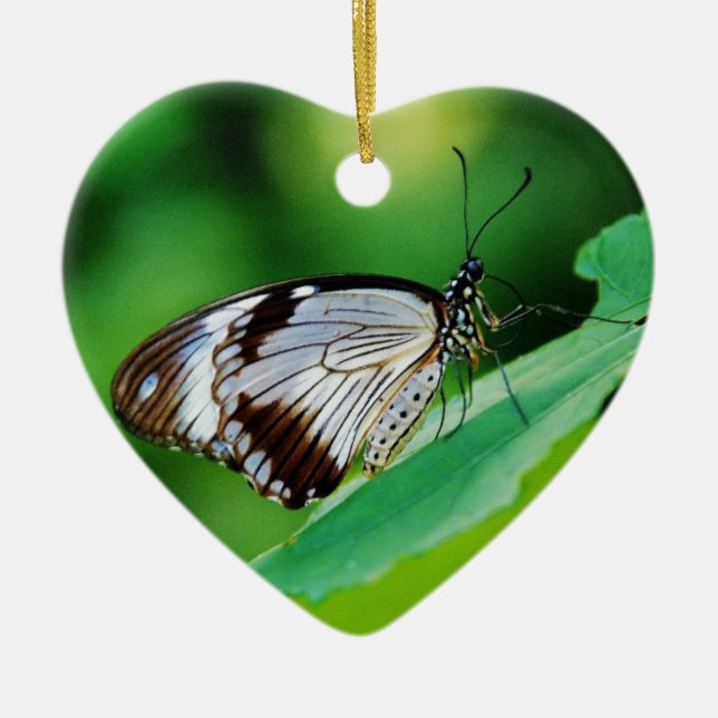 Ornamento De Cerâmica Castanho escuro e borboleta Cinza (Frente)