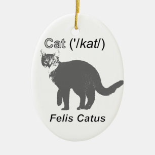 Ornamento De Cerâmica Cat Felis Catus