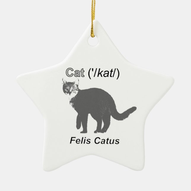 Ornamento De Cerâmica Cat Felis Catus (Frente)