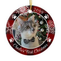 Cat First Christmas Red Black Xadrez Fotografia