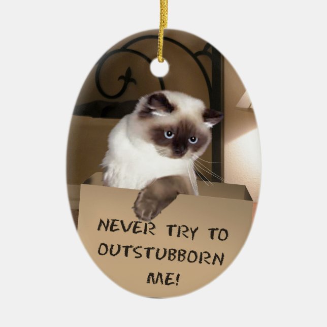 Ornamento De Cerâmica Cat in Box (Frente)