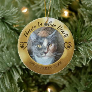 Ornamento De Cerâmica Cat Memorial Forever em Nosso Coração Foto Foto Co