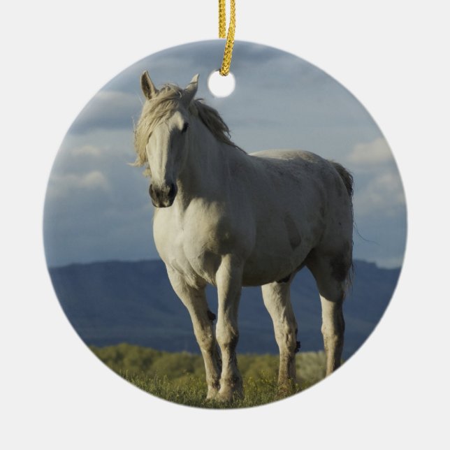 Ornamento De Cerâmica Cavaleiro dos sonhos (Frente)