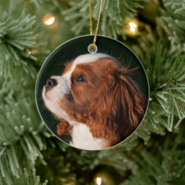 Ornamento De Cerâmica Cavalier King Charles Spaniel Dog