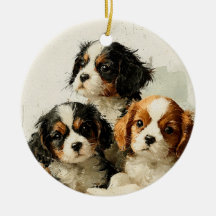 Cavalier King Charles Spaniel Puppies Christmas