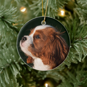 Ornamento De Cerâmica Cavalier Rei Charles Spaniel