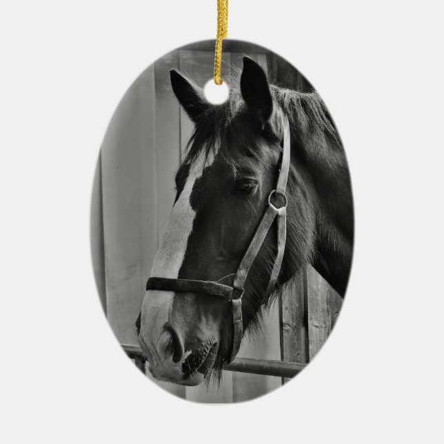 Ornamento De Cerâmica Cavalo Branco Negro - Fotografia Animal (Frente)