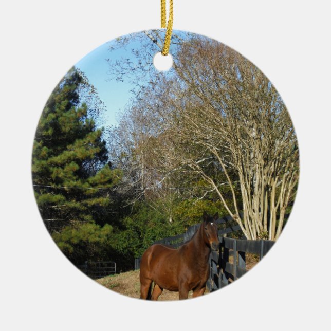 Ornamento De Cerâmica Cavalo castanho contra cerca (Frente)