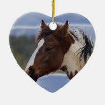 Cavalo com três cores