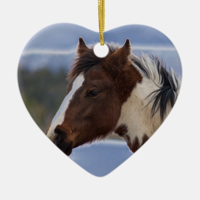Ornamento De Cerâmica Cavalo com três cores (Frente)