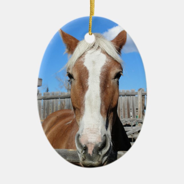 Ornamento De Cerâmica Cavalo de esboço belga (Frente)