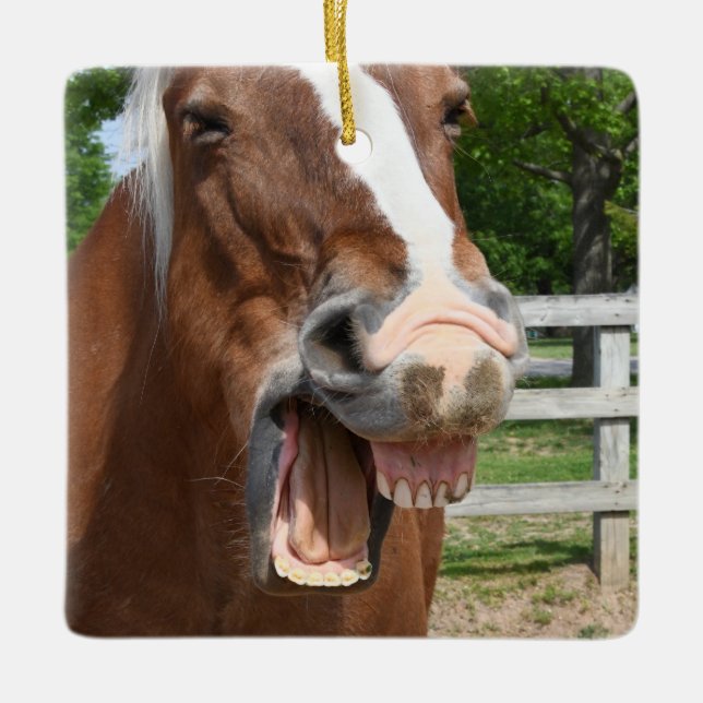 Ornamento De Cerâmica Cavalo de riso engraçado (Frente)
