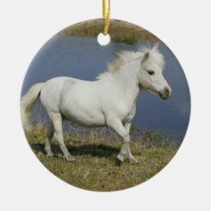 Ornamento De Cerâmica Cavalo diminuto que funciona perto da água