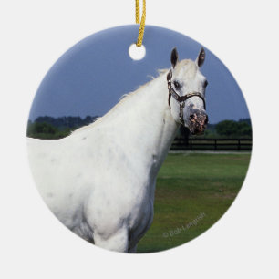Ornamento De Cerâmica Cavalo do Appaloosa