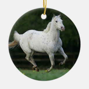 Ornamento De Cerâmica Cavalo do Appaloosa que funciona 1