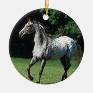 Ornamento De Cerâmica Cavalo do Appaloosa que funciona 2