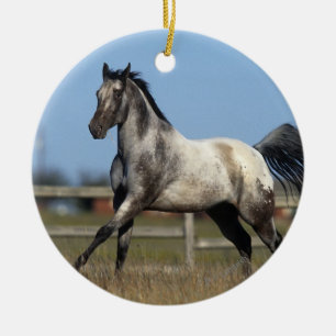 Ornamento De Cerâmica Cavalo do Appaloosa que funciona 3